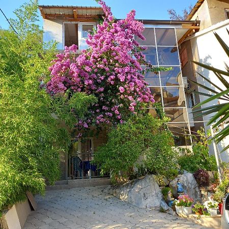 Bugenvilija Budva Exterior foto